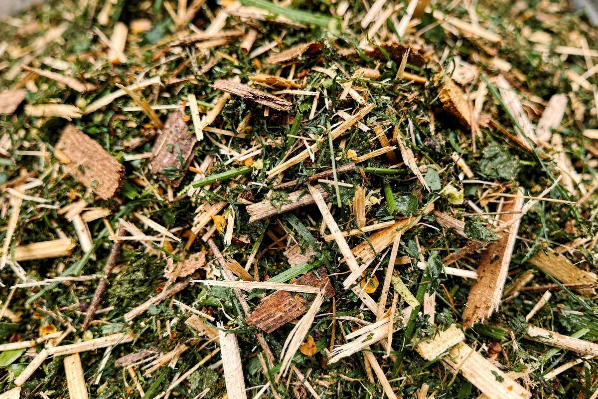 Tas de broyat frais : fibres de bois, copeaux d'écorce et feuilles déchiquetées mélangés