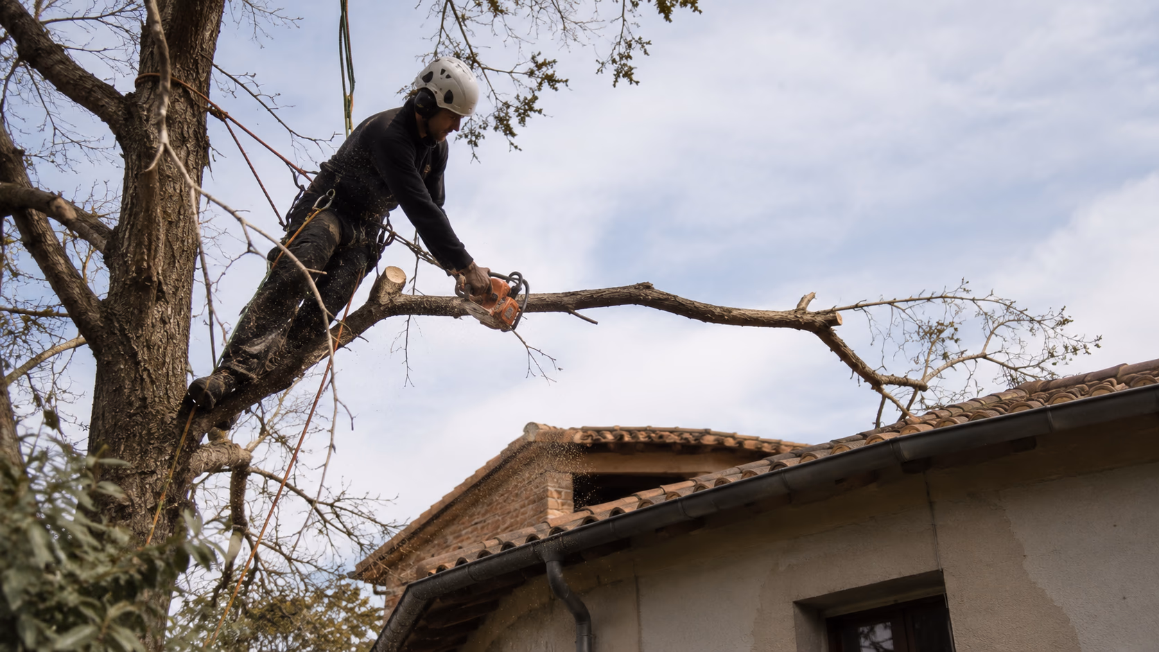 Grimpeur élagueur sur cordes démontant une branche au-dessus d'une maison, équipé d'un casque et d'un harnais de sécurité